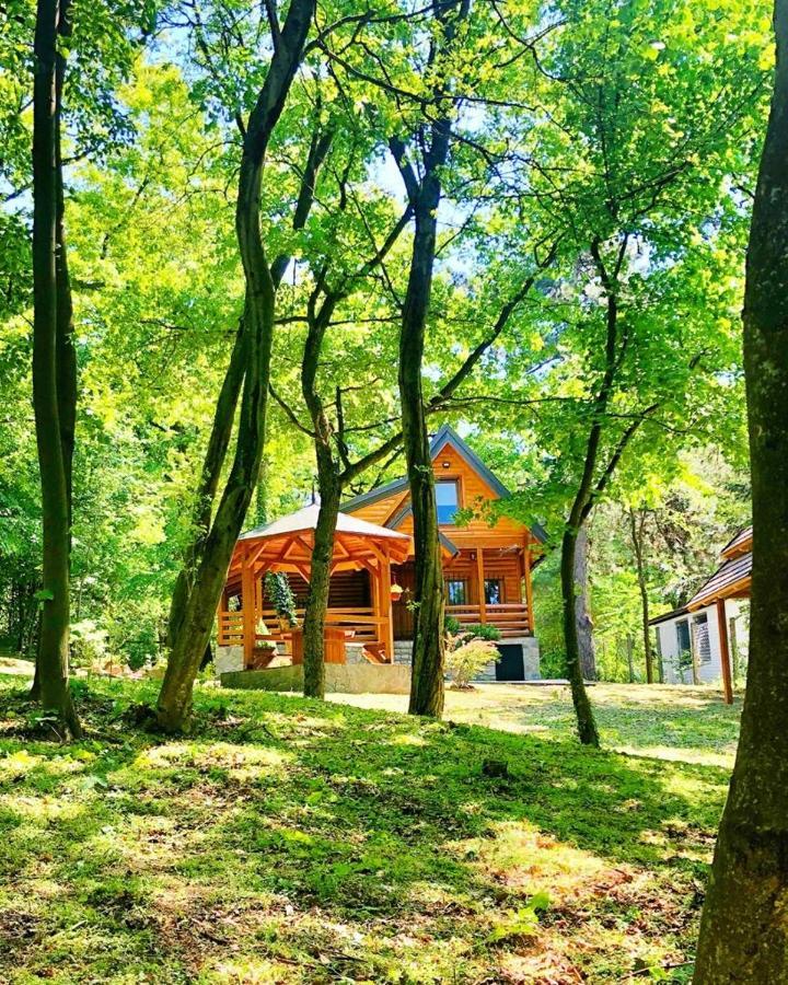 Brvnara Vrsac Villa Dış mekan fotoğraf