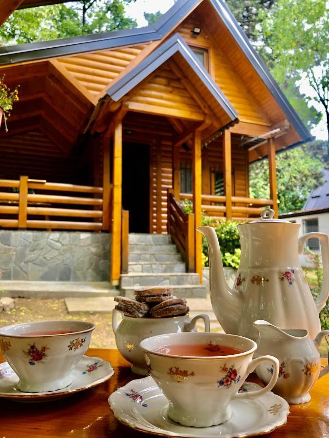 Brvnara Vrsac Villa Dış mekan fotoğraf
