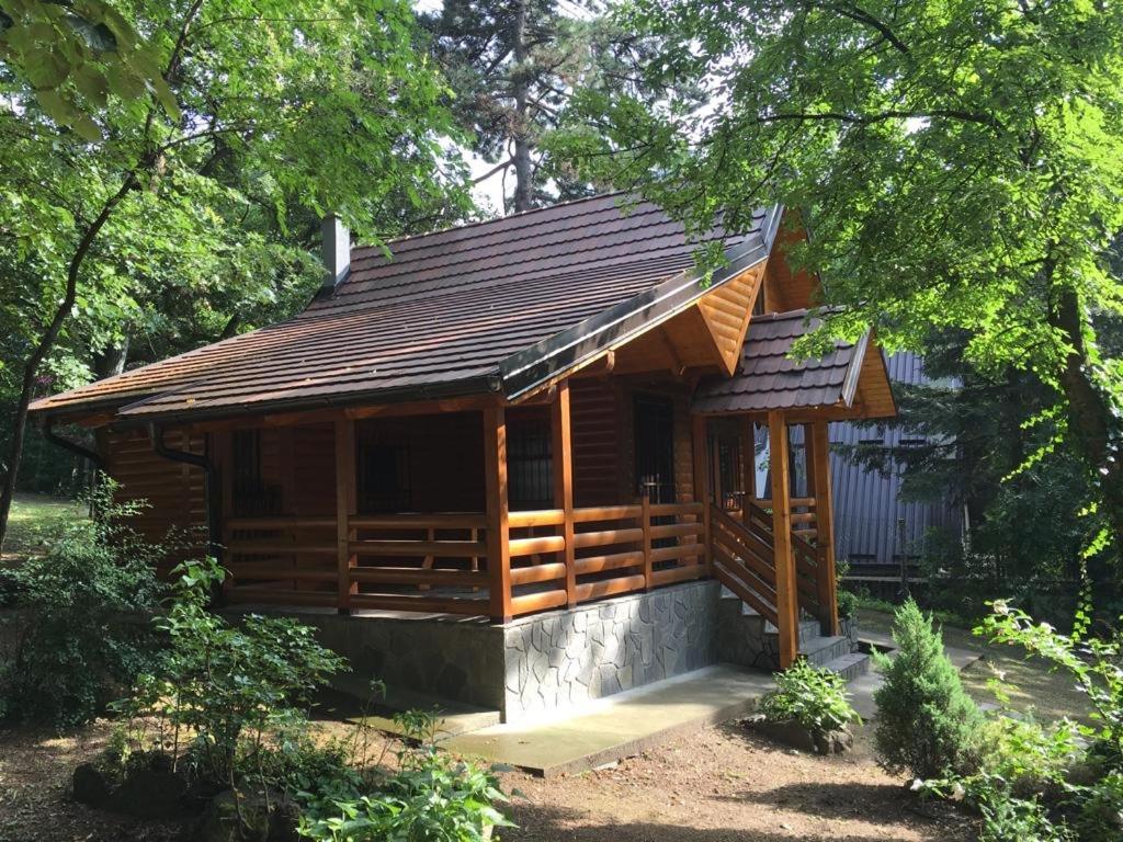 Brvnara Vrsac Villa Dış mekan fotoğraf