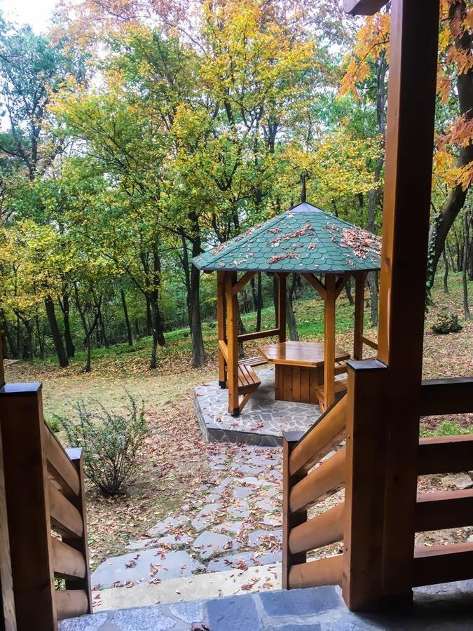 Brvnara Vrsac Villa Dış mekan fotoğraf