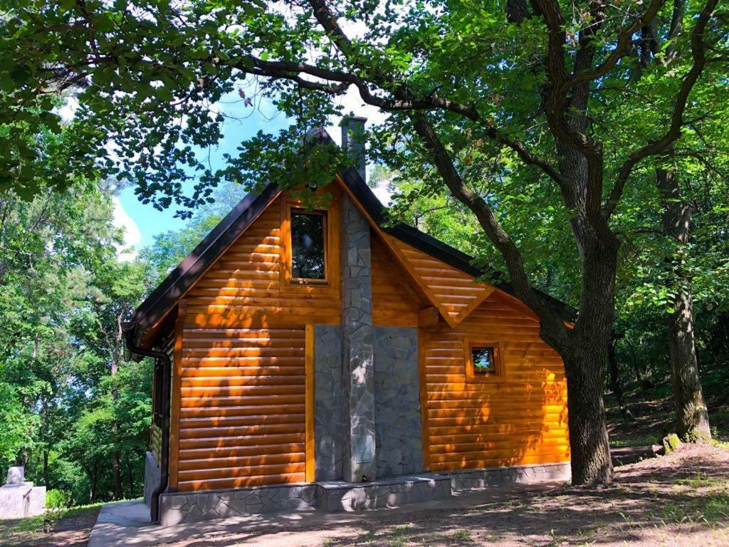 Brvnara Vrsac Villa Dış mekan fotoğraf