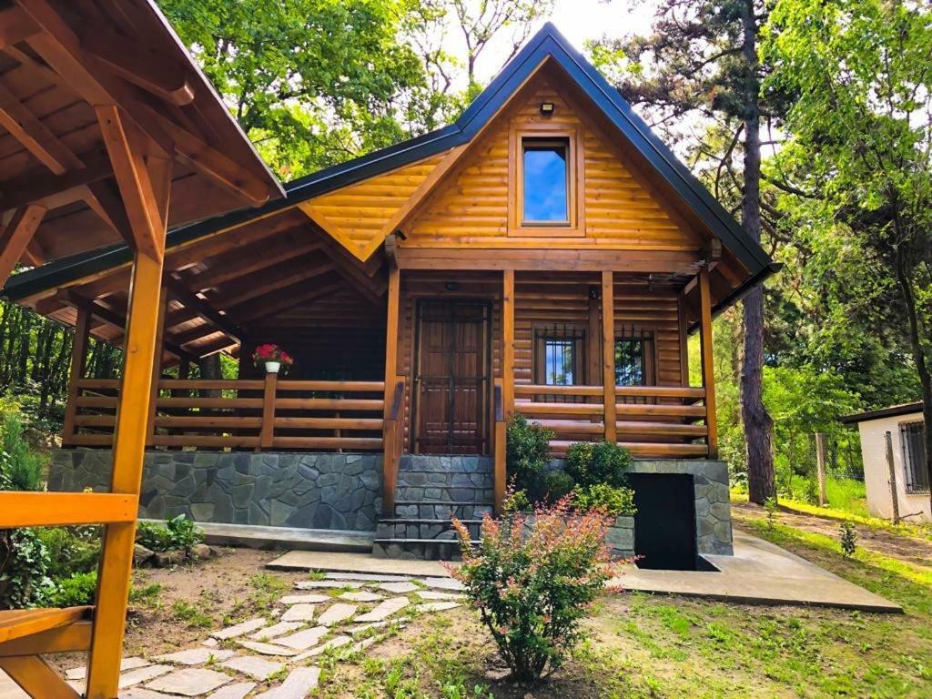 Brvnara Vrsac Villa Dış mekan fotoğraf