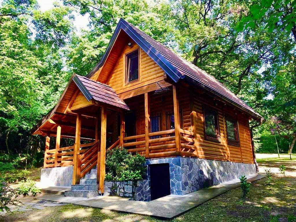 Brvnara Vrsac Villa Dış mekan fotoğraf